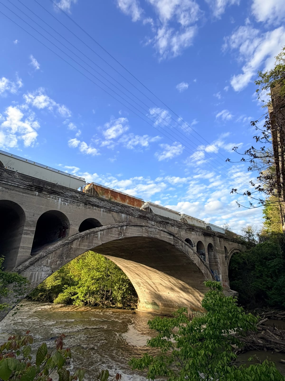 Bridge at Cleveland Metroparks