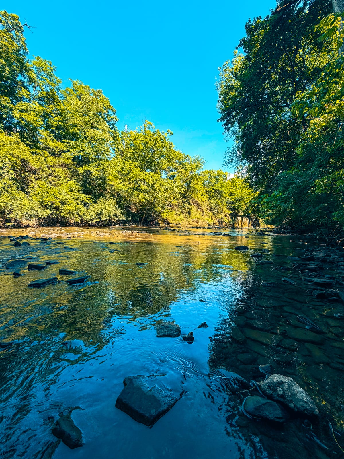 River at Cleveland Metroparks